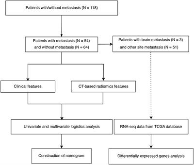 Cervical Cancer Imaging Features Associated With ADRB1 as a Risk Factor for Cerebral Neurovascular Metastases